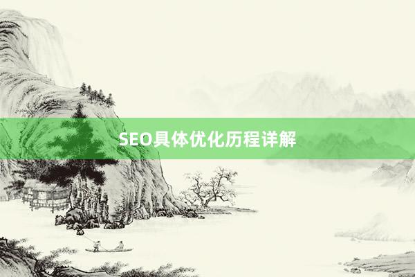 SEO具体优化历程详解