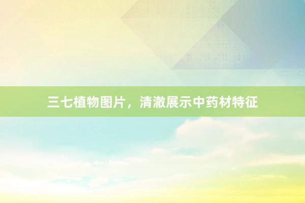 三七植物图片，清澈展示中药材特征