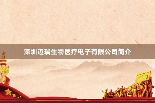 深圳迈瑞生物医疗电子有限公司简介