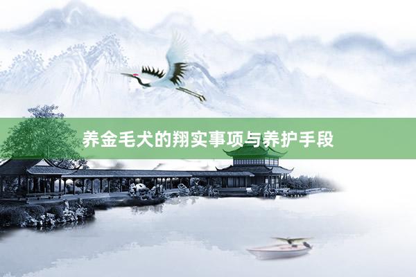 养金毛犬的翔实事项与养护手段