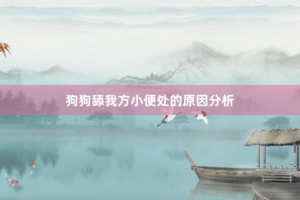 狗狗舔我方小便处的原因分析