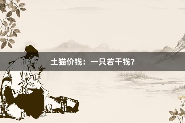 土猫价钱:一只若干钱?